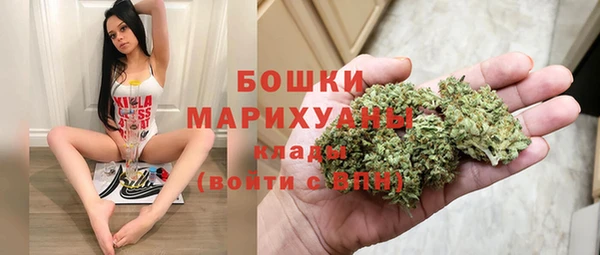 ешки Медногорск