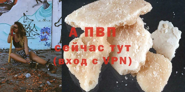 прущие грибы Мегион