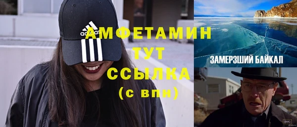 прущие грибы Мегион