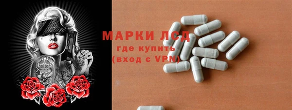 индика Медвежьегорск