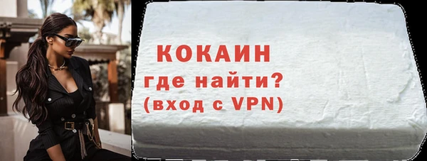 индика Медвежьегорск