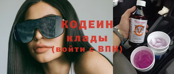 индика Медвежьегорск