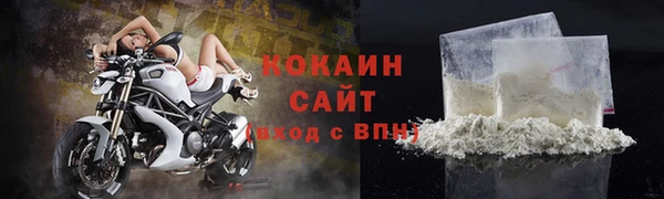 прущие грибы Мегион