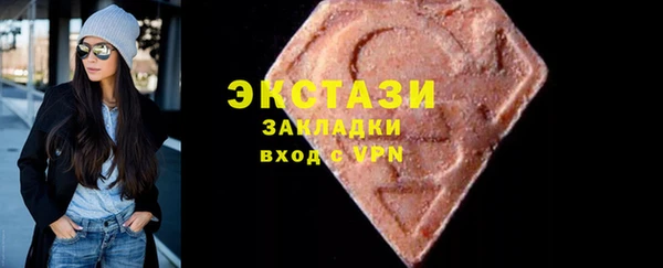 индика Медвежьегорск