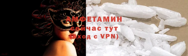 индика Медвежьегорск