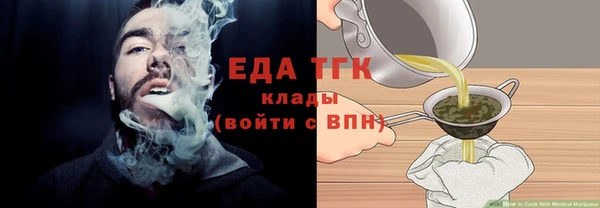 индика Медвежьегорск