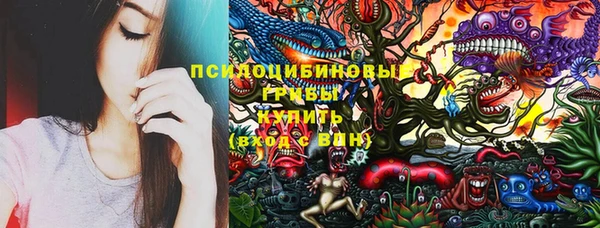 ешки Медногорск