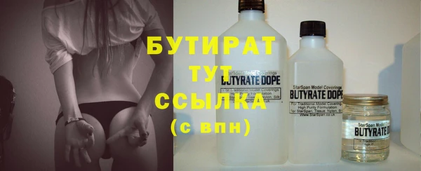 индика Медвежьегорск