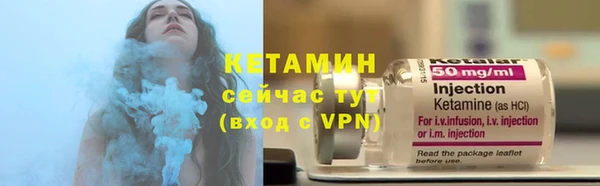 индика Медвежьегорск