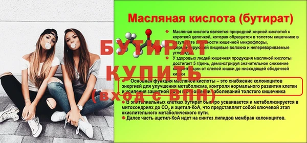 индика Медвежьегорск