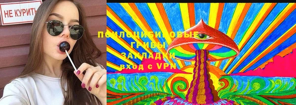 прущие грибы Мегион