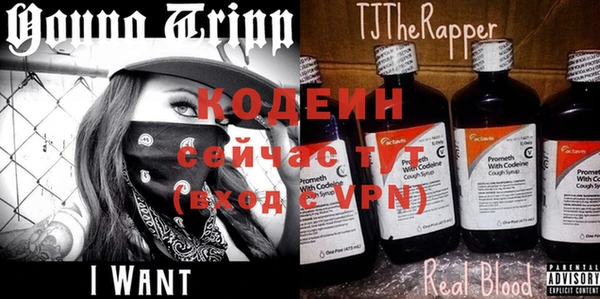 прущие грибы Мегион