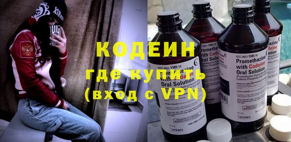 индика Медвежьегорск