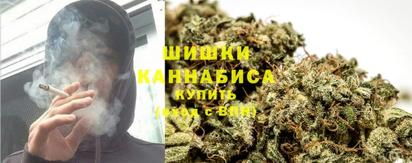 ешки Медногорск