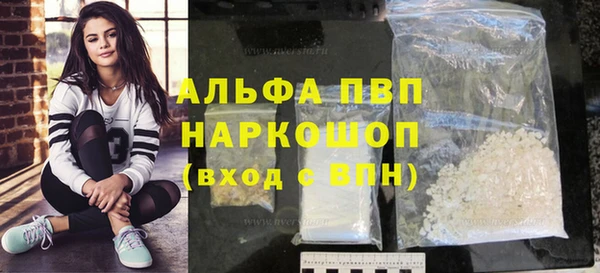 индика Медвежьегорск