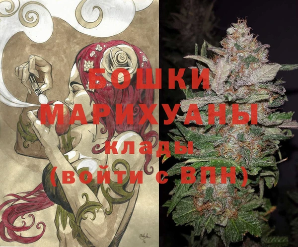 прущие грибы Мегион