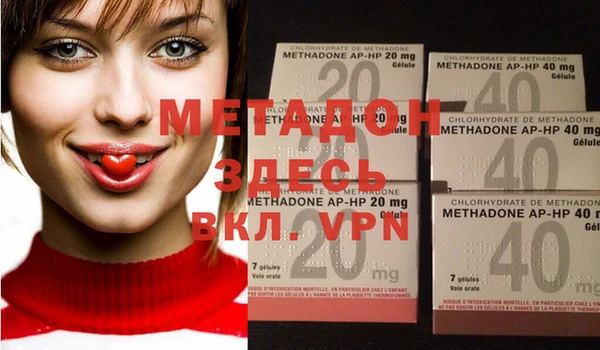 прущие грибы Мегион