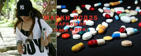 индика Медвежьегорск