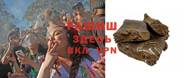 индика Медвежьегорск