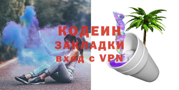 индика Медвежьегорск