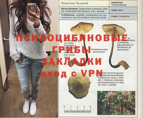 индика Медвежьегорск