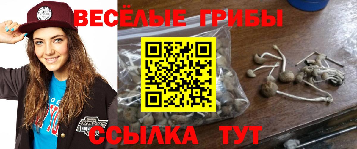 Туапсе  Галлюциногенные грибы Magic Shrooms  наркотики  Вход с VPN 