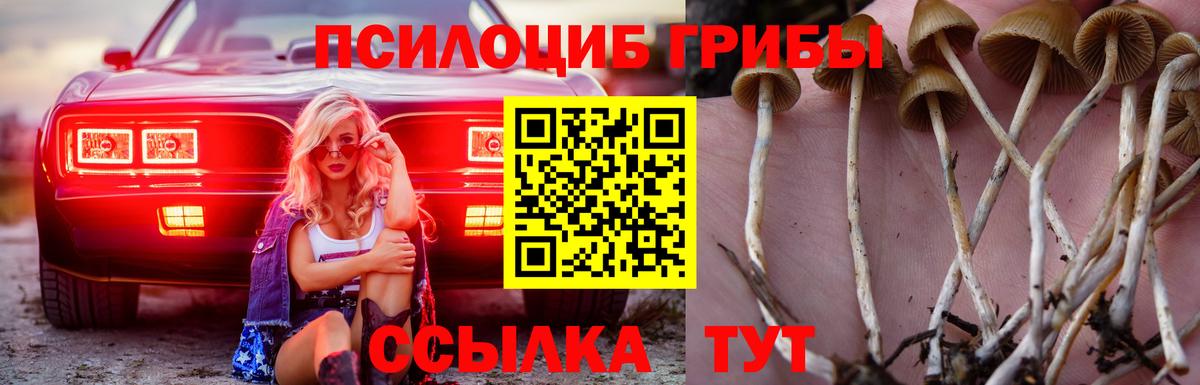 Псилоцибиновые грибы ЛСД Туапсе